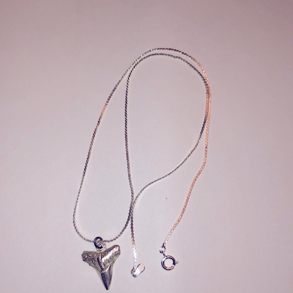 18” Silver necklace with Shark tooth pendant.